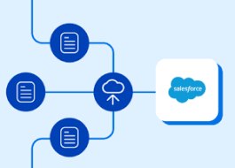Salesforce for Business Visibility